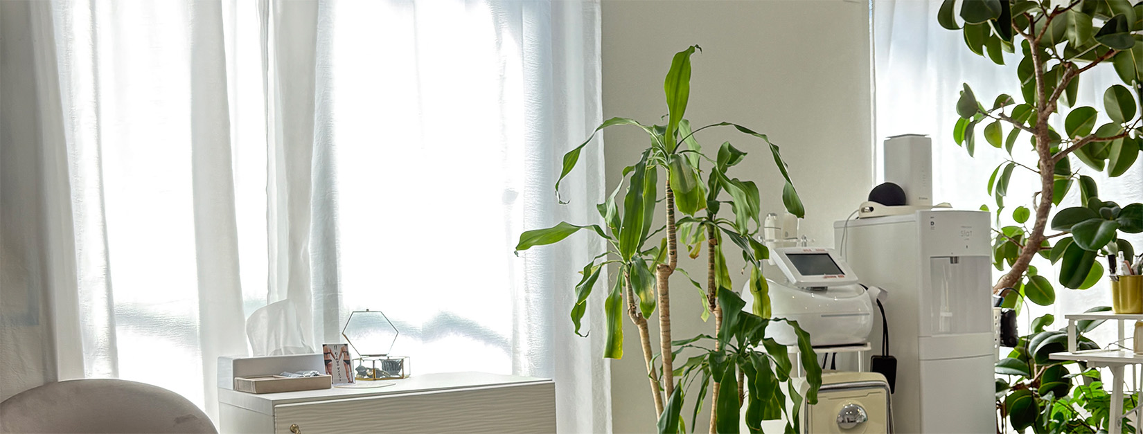 MAQUI ESTHETIC🌈 マクイエステティック概要　表参道エステサロン